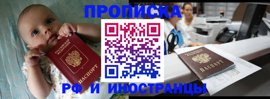 прописка поиск в Волоколамске